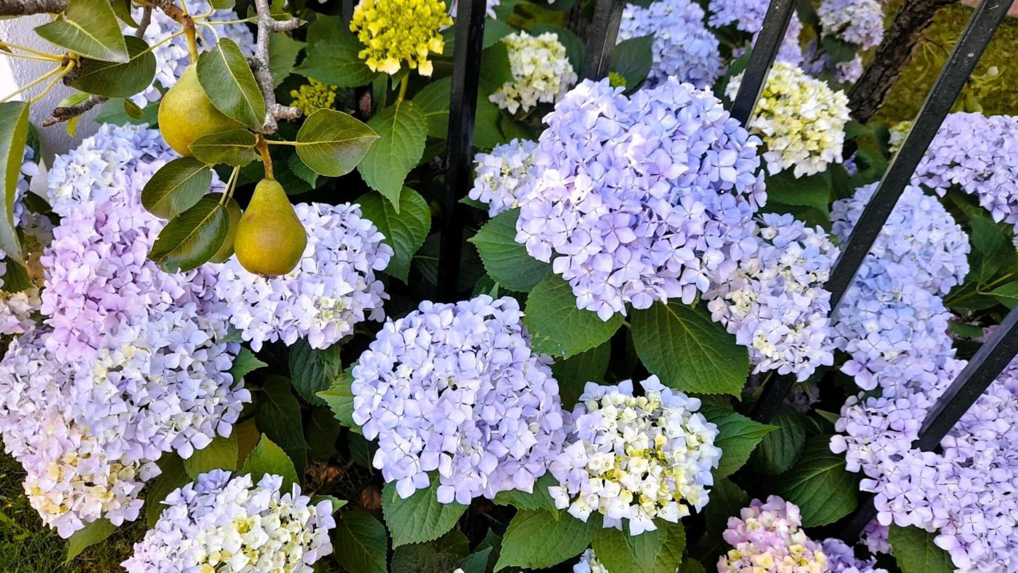 דירות Serranillos La Casona מראה חיצוני תמונה